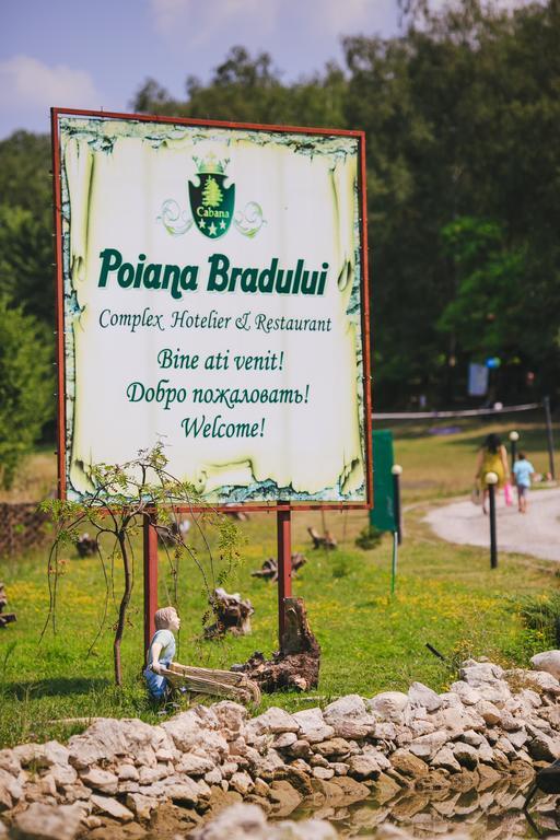 Poiana Bradului Villa Tohatin Eksteriør bilde
